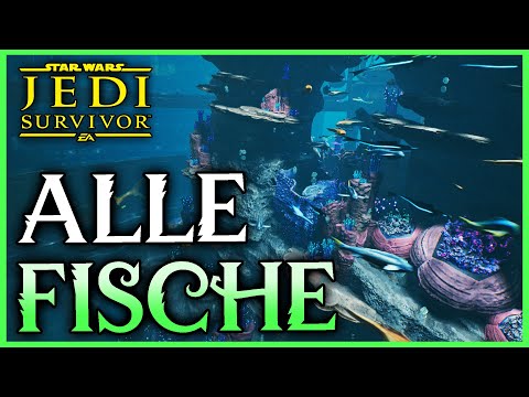 Star Wars: Jedi Survivor: Guide - Alle 12 Fische und deren Fundorte | Skoova Tauchgang