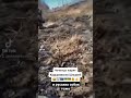 Чеченцы мочат Рашистов и предателей