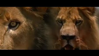 Нападение львов на Цаво / Призрак и Тьма / 1996