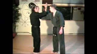 2002 Seicho Jutsu Self Defense moves