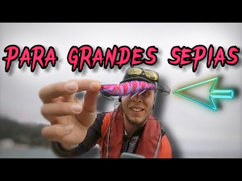 ESTOS EGIS PESCAN SEPIAS XXL a EGING [PARA SEPIAS GRANDES]