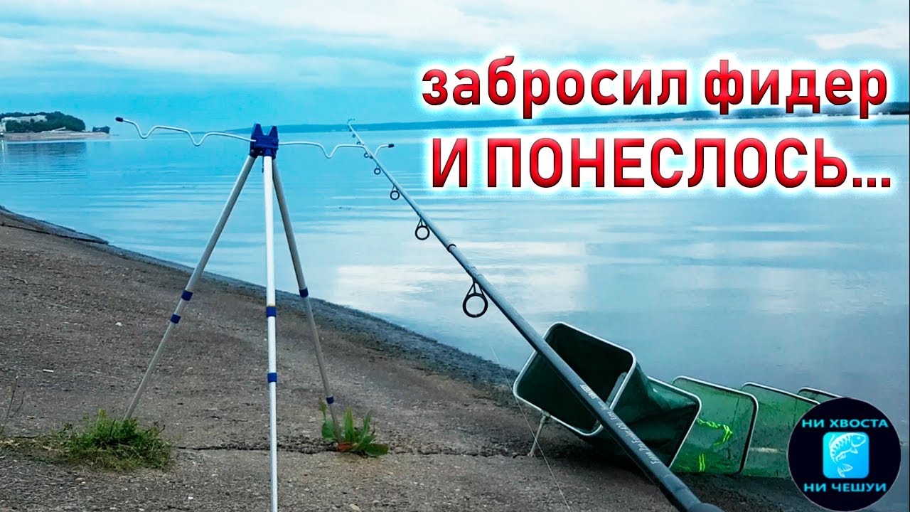 рыбалка на фидер в июне