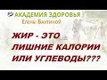 Жир. Калории. Углеводы. Елена Бахтина.