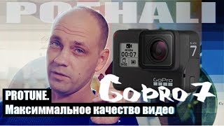 :    Protune Gopro.     Gopro Black 7.