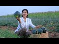 Yummy Pickled Watermelon Recipe / Fresh Watermelon Juice / Prepare By Countryside Life TV.