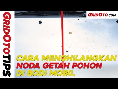 Cara Menghilangkan Noda Getah Pohon Di Bodi Mobil I How To I GridOto Tips