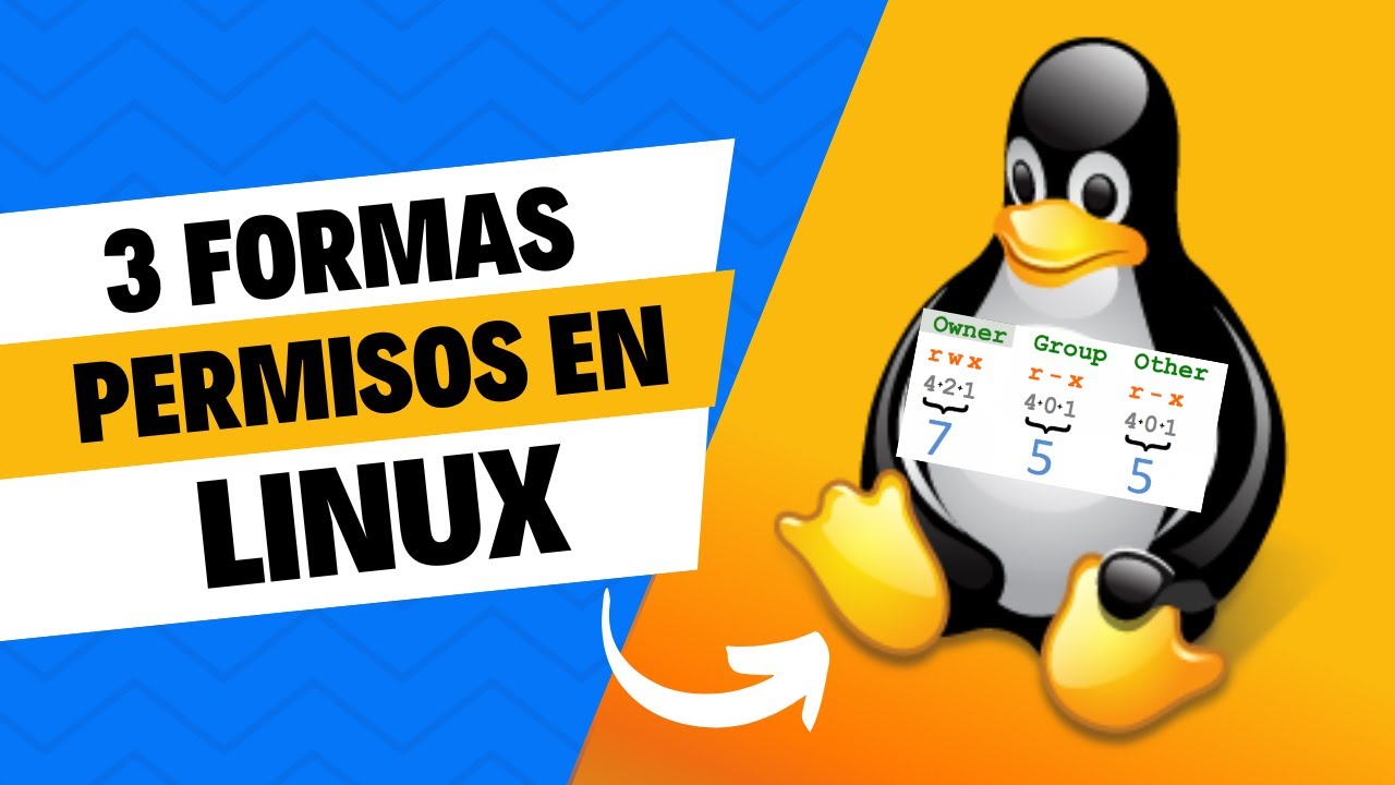 Aprende los Permisos de Linux en solo 15 minutos 😱 — ¡Nadie te lo ...