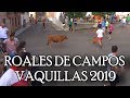 Encierro urbano - Roales de Campos 10-08-2019