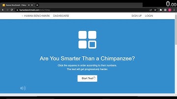 (FWR) Human Benchmark - Chimp test 10 blocks / 20:10