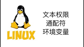 Linux文本权限, 通配符和环境变量【Linux操作系统教程3】