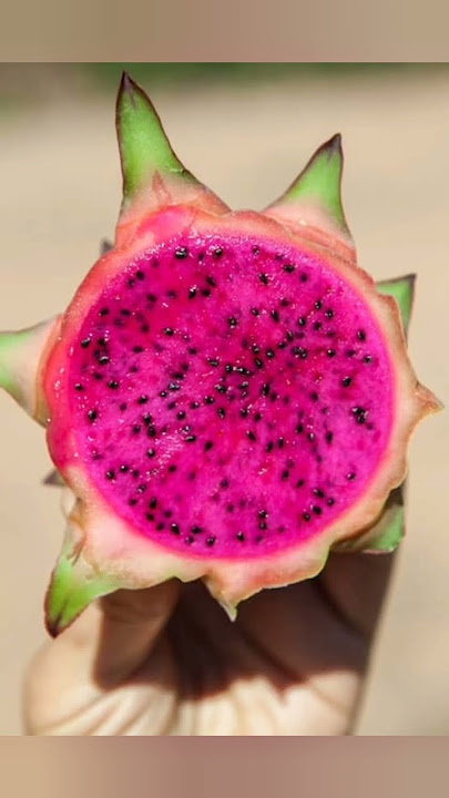 Mais Saúde pra você, Benefícios da Pitaya Vermelha #saude