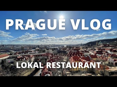 Video: Restoran Terbaik di Prague
