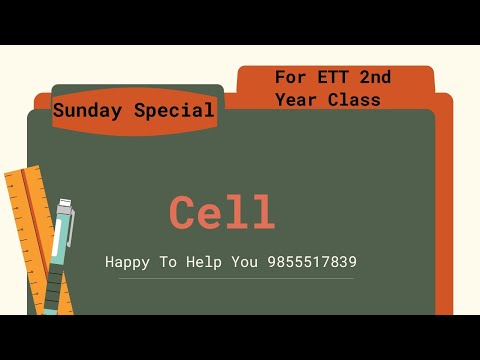 Punjab ETT 2nd year || Cell  || Sunday Special || 11-07-2021 By 3k learning