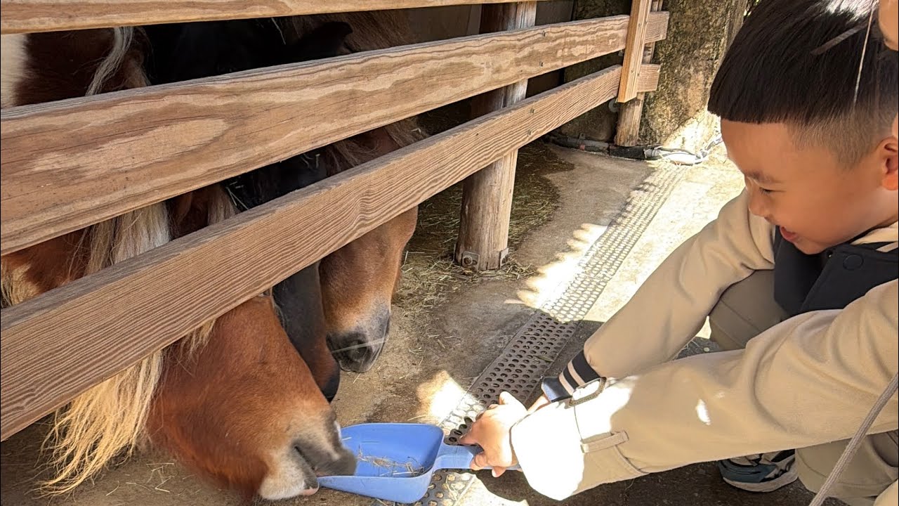 2025/12/29 六福村 萁哥六歲生日快樂