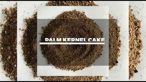 CLARA FARMS PHASE 1 {INTRO VIDEO}- PALM KERNEL OIL PRODUCTION