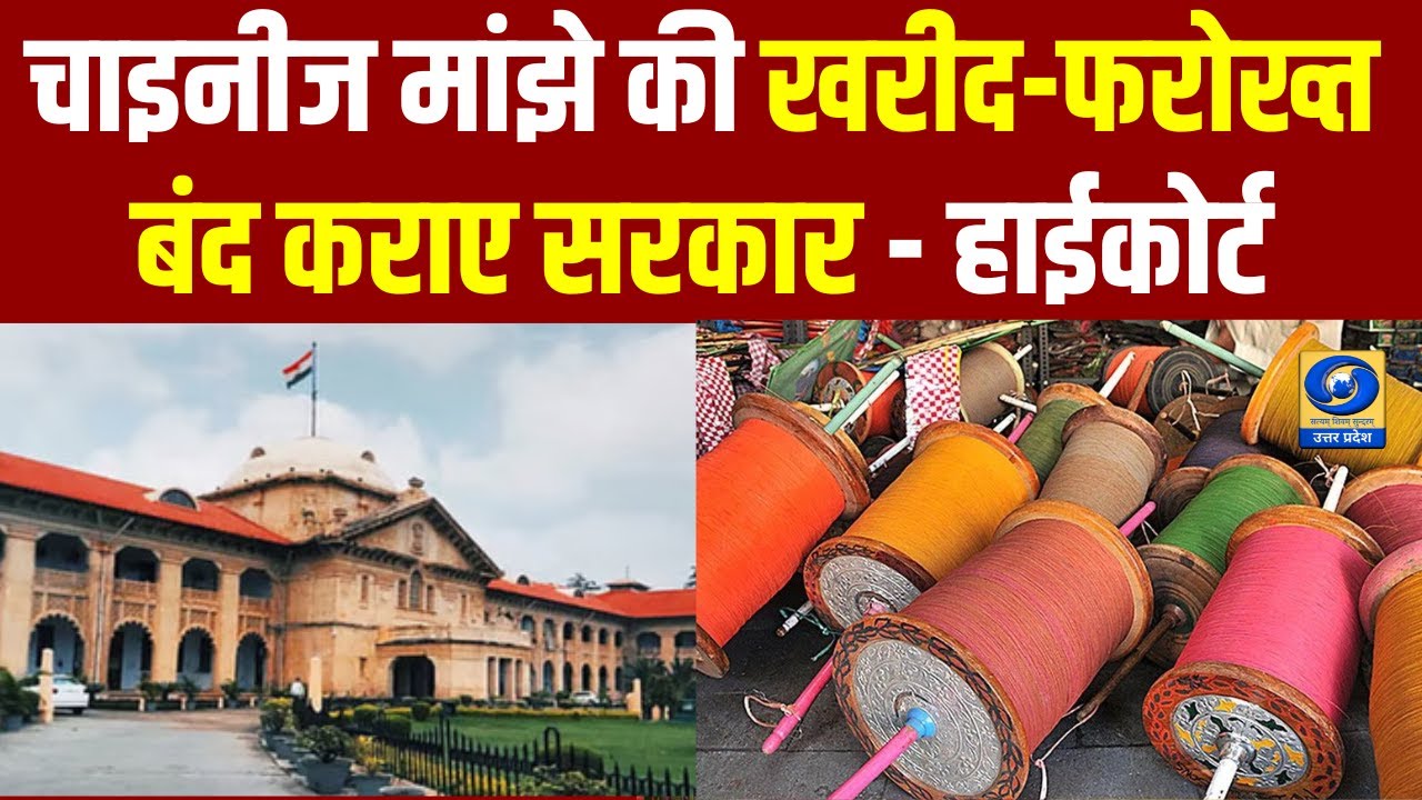 चाइनीज मांझे की खरीद-फरोख्त बंद कराए सरकार - हाईकोर्ट - Hindi News - 08 AM