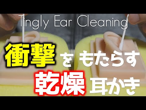 ASMR 入口はショリ、耳奥はジョリな乾燥奥行き耳かき Deep Ear Cleaning