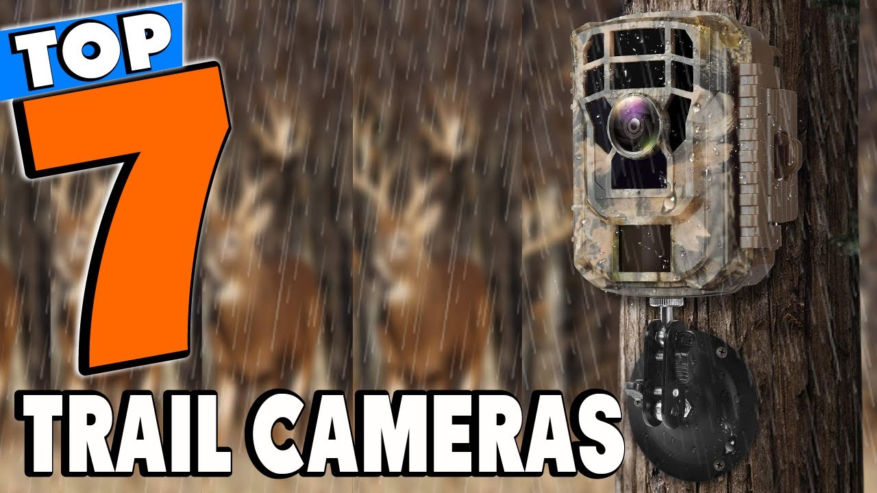 Top 5 Best Trail Cameras Review In 2023 YouTube