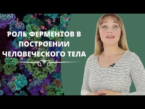 Роль ферментов в построении человеческого тела | О чем Вы даже не догадывались