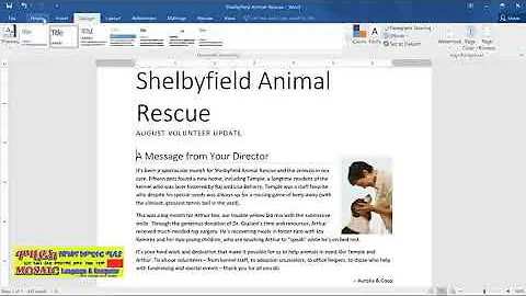 MS Word 2019 Lesson 27: Applying and Modifying Styles