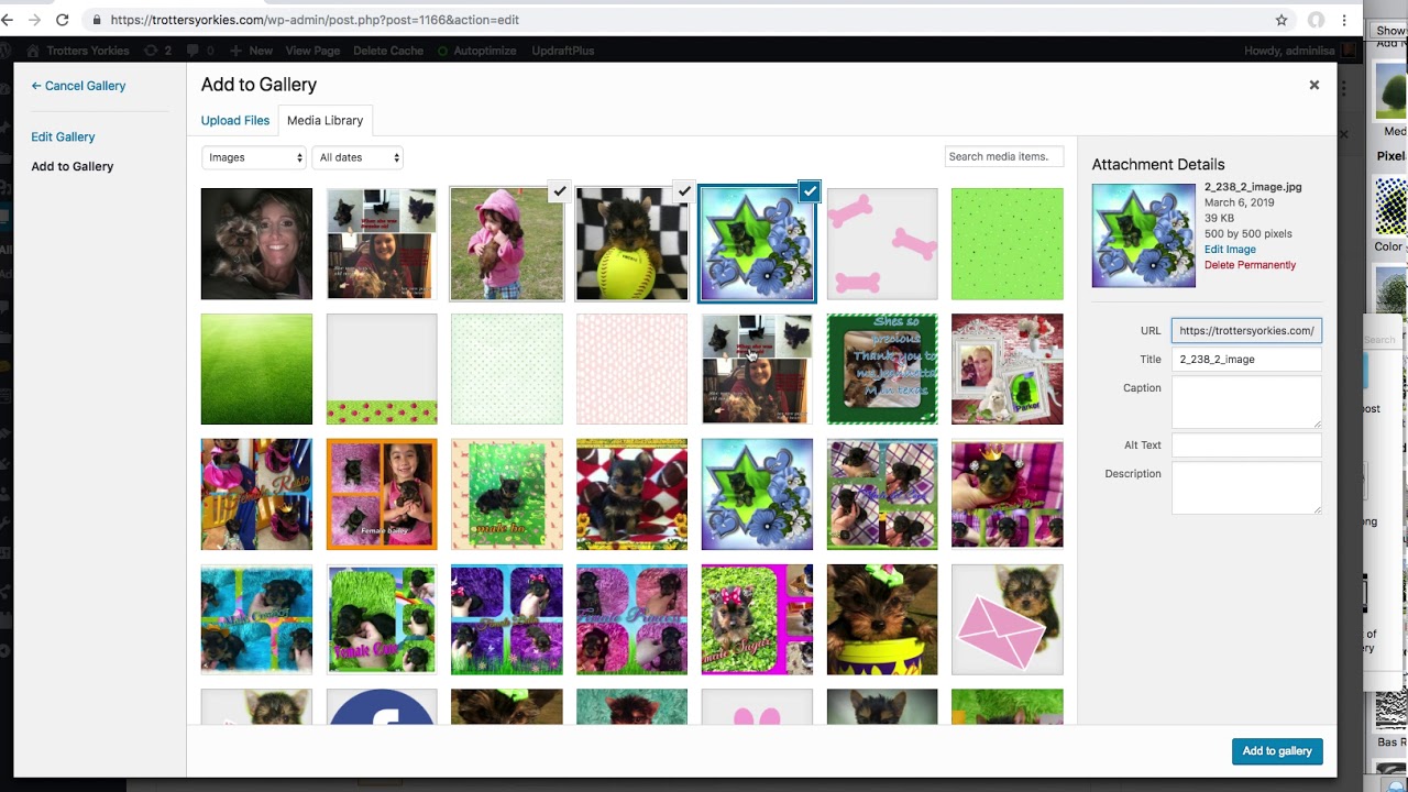adding gallery - YouTube