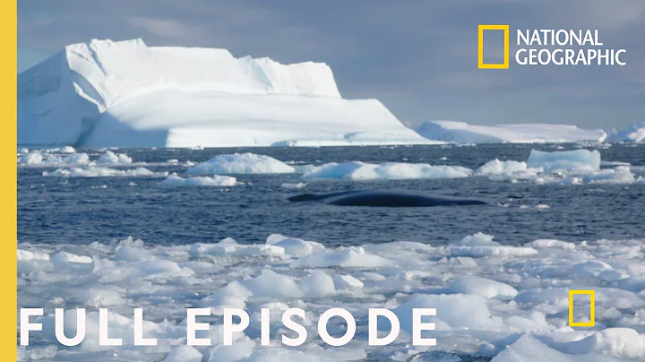 Storming Antarctica (Full Episode) | Continent 7: Antarctica - DayDayNews