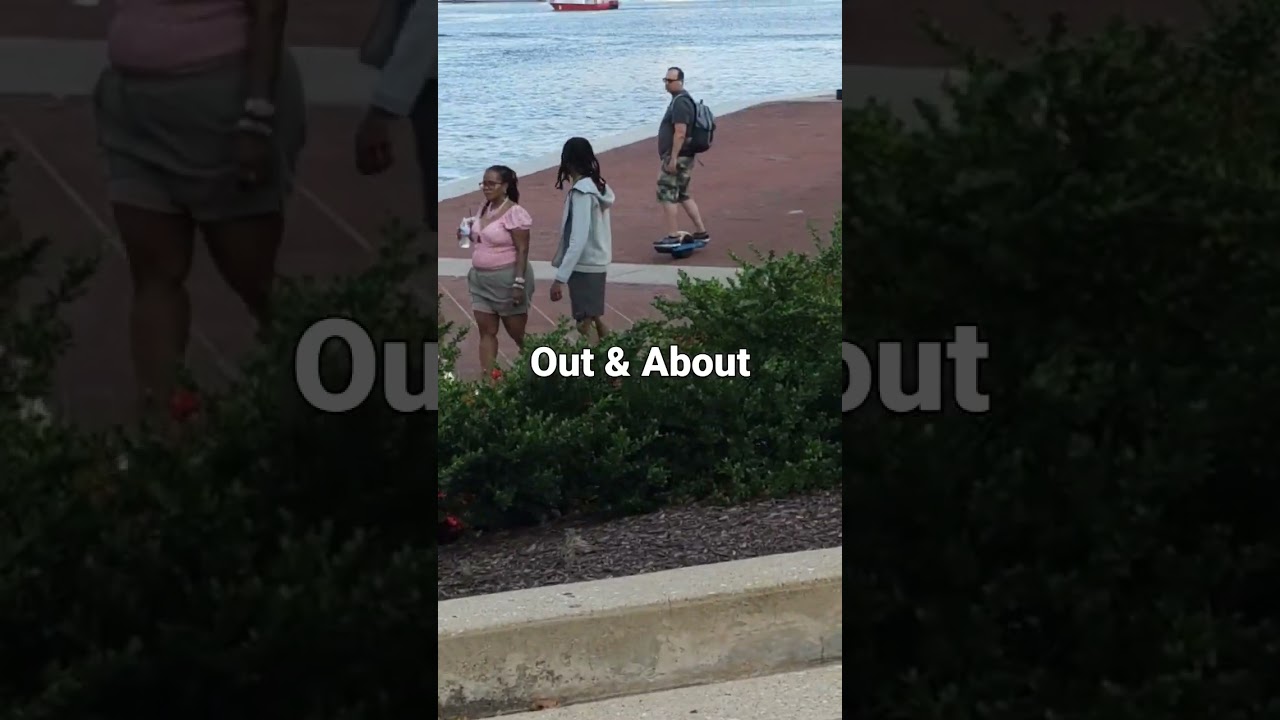 Baltimore City Harbor Sightings - Maryland, USA 🇺🇸