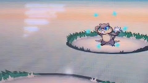 LIVE! Shiny Patrat After 17,370 RE