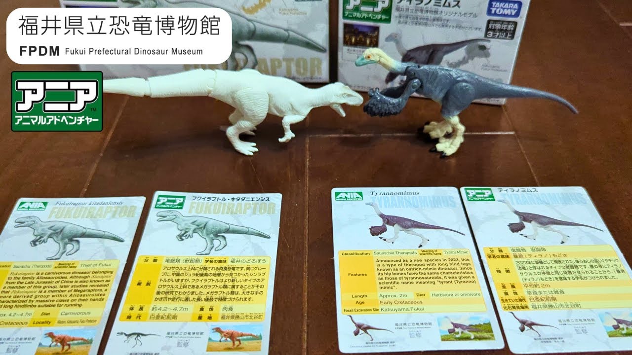 古生物玩具】ホワイトアニア・フクイラプトル アニア ティラノミムス