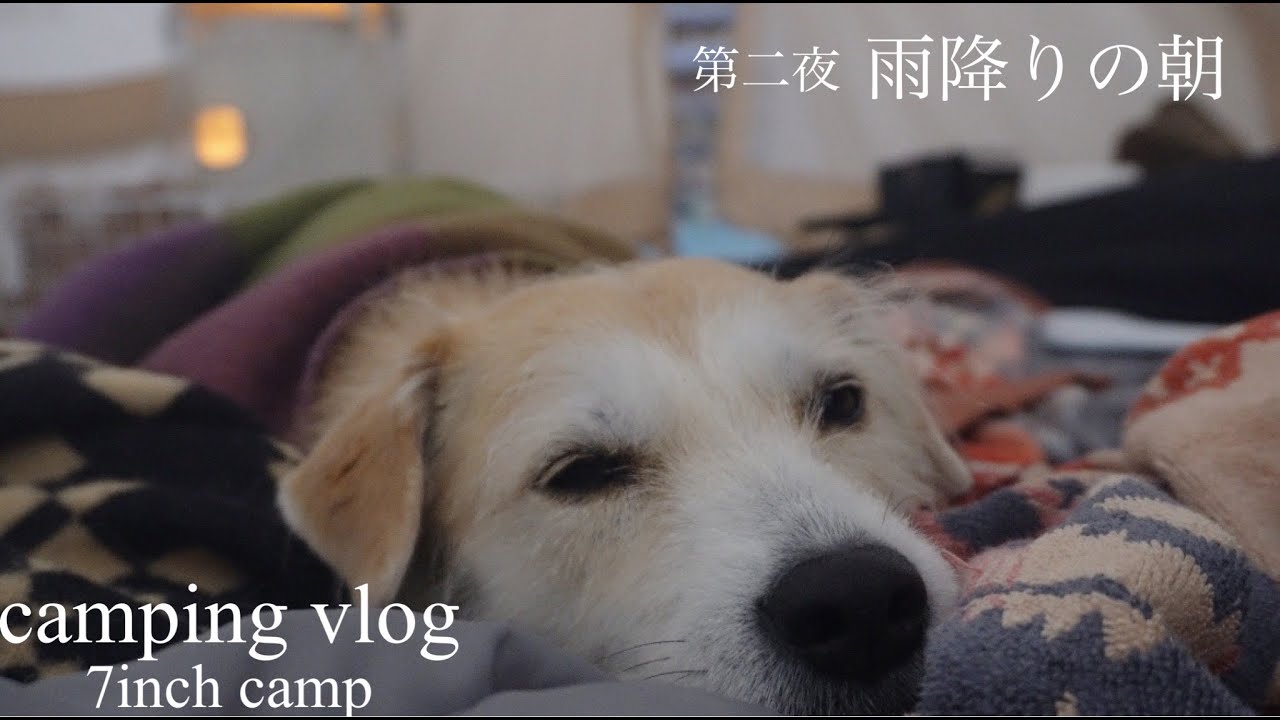 【犬とキャンプ】素敵なキャンプ場に出会いました後編〜S’more Bello400で連泊キャンプ｜キャンプでトラットリア風料理を楽しむ＠7inch camp