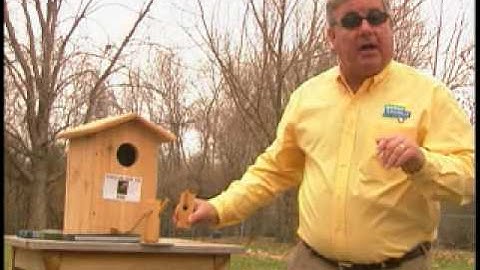 Bird Man Mel - Attracting Owls