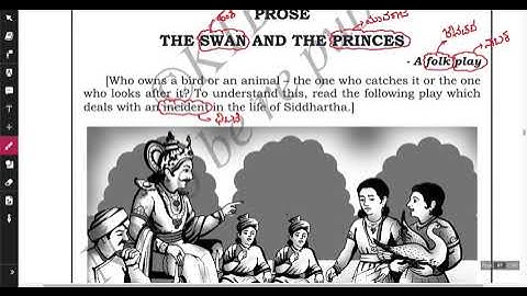 The Swan And The Princes