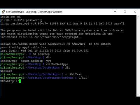 .NET Core application running on Raspberry Pi