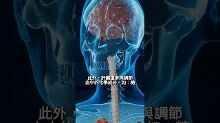 人体最大的解毒器官 #百科