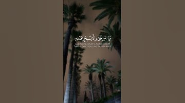 تلاوة قصيرة خاشعة | قرآن كريم بصوت عذب يريح القلب ويبعث السكينة والطمأنينة #تلاوة #المصحف #آيات