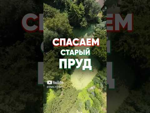 Спасаем старый и заросший пруд бюджетными способами. #ВосстановлениеПруда #ОчищениеВоды