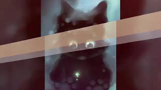Умершие коты воители😭/чит.оп./ Умершие коты воители😭/чит.оп./