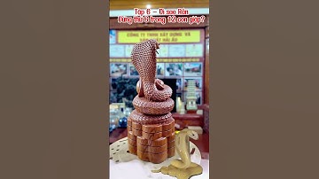 Vì sao Rắn Đứng thứ 6 Trong 12 Con giáp #chuyenngan#12congiap#VideoShors