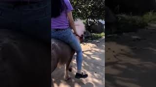 Pony Riding