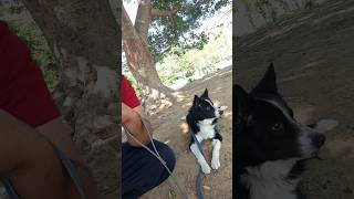 Update Vlog Of Yt Setup And Gaming Keyboard