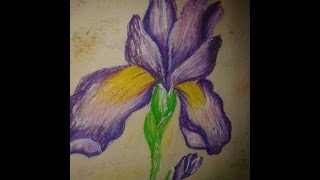 how can art a natural flower with soft pastel (color pencil diye chomotkar kochuri panar ful drowing screenshot 3