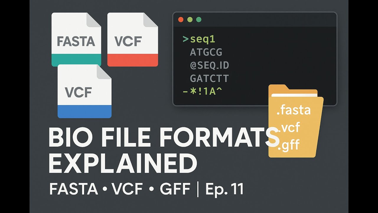 Bioinformatics File Formats Explained | FASTA, FASTQ, GFF, VCF & More ...