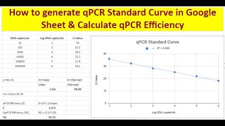How to generate qPCR Standard Curve & Calculate qPCR assay efficiency in google sheets