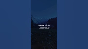 اكتب شيء تؤجر عليه 💙😴 / القارئ ياسر الدوسري