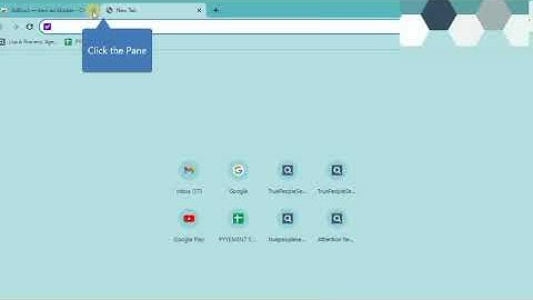 How to use ADD BLOCKER to remove extra data of True People Search