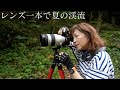 F値が大事✨夏の渓流は望遠ズームレンズ一本で!