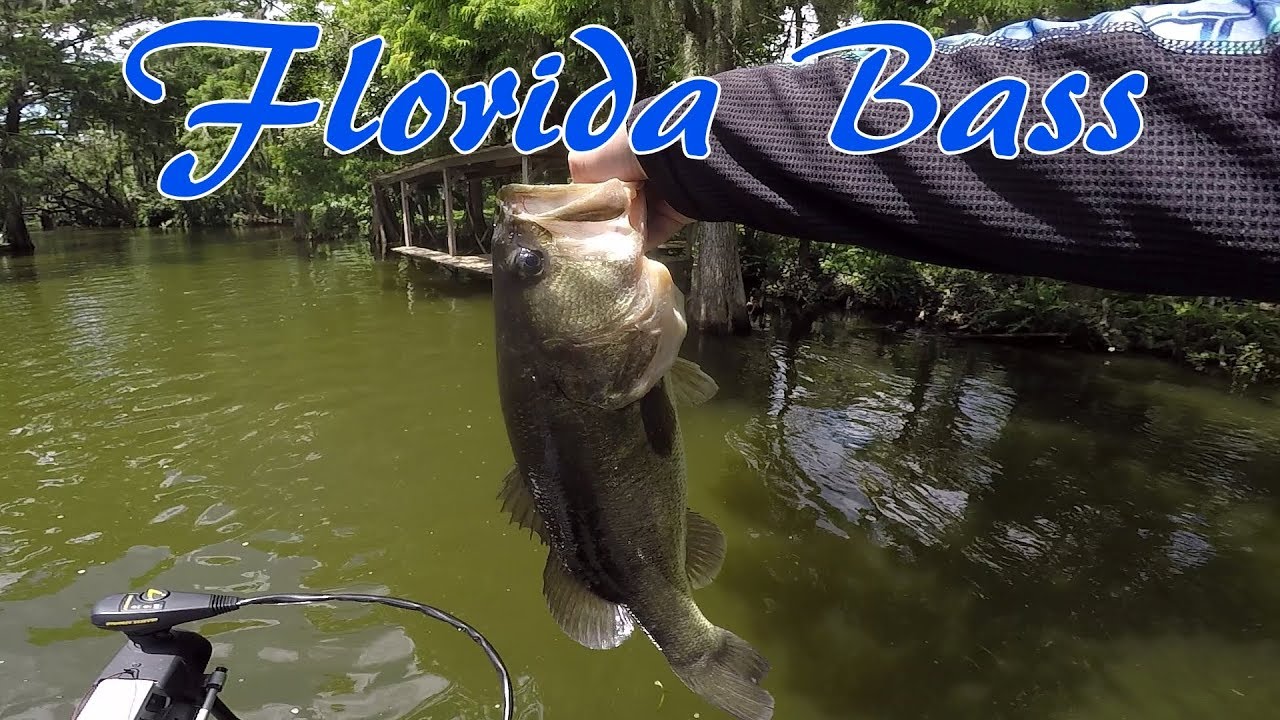 Fishing Dora Canal Start to Finish YouTube
