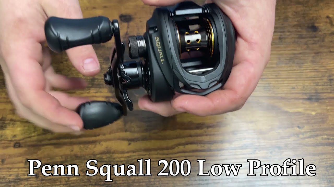 Reel Feature: Penn Squall 200 Low Profile 