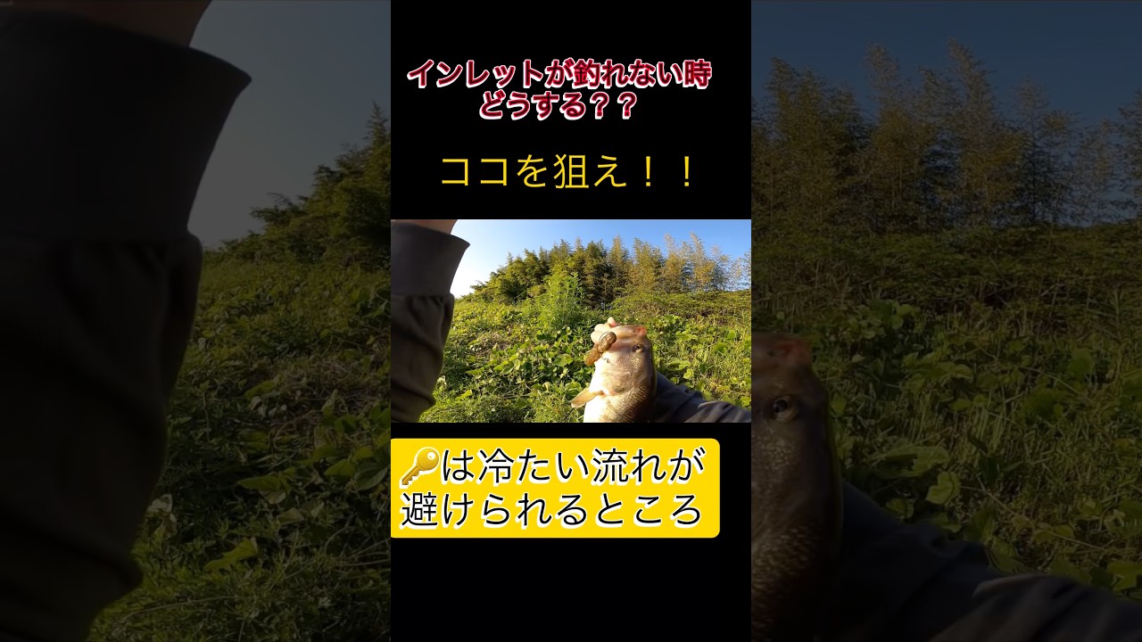 2026年4月25日