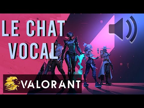Vidéo: Comment Configurer Le Chat Vocal